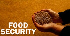 平安：到底是safety仍是security？